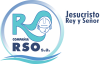 LOGO RSO